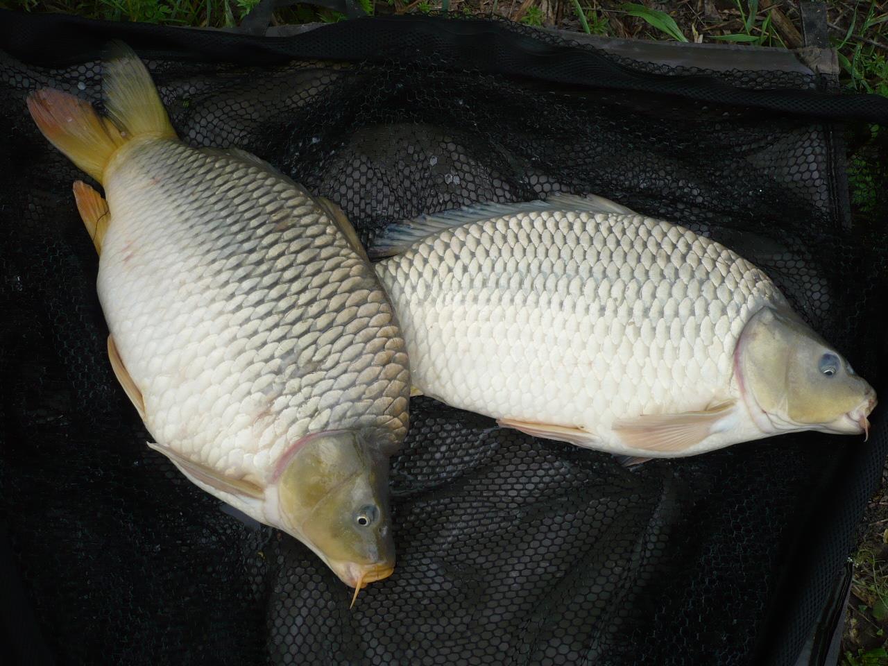 Magura 9 - 25.APR.2014 - p1020305.JPG